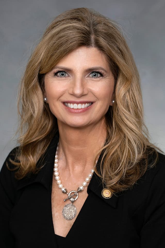 Sen. Lisa S. Barnes headshot