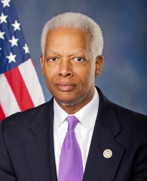 Rep. Hank Johnson headshot